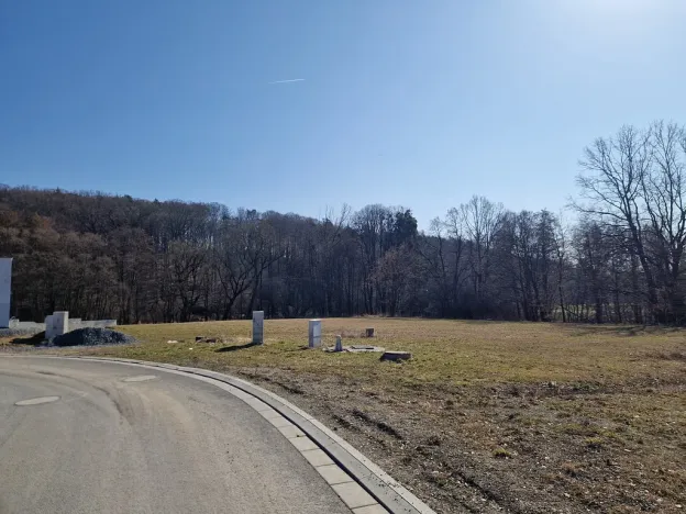 Prodej komerčního pozemku, Velká Polom, Okružní, 6038 m2