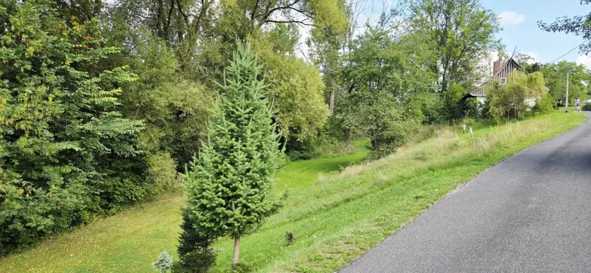 Prodej domu, Bystrá nad Jizerou, 130 m2