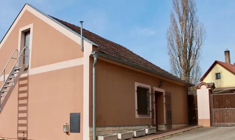 Prodej rodinného domu, Čečelice, Všetatská, 650 m2