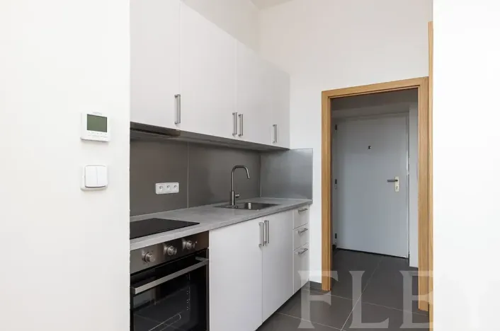 Pronájem bytu 1+kk, Praha - Žižkov, Seifertova, 29 m2