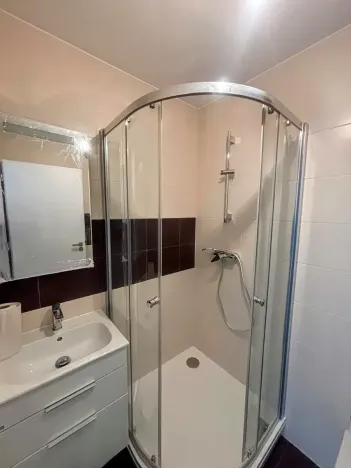 Pronájem rodinného domu, Prostějov, Lomená, 300 m2