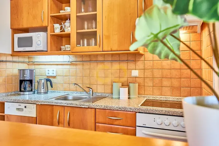 Prodej bytu 1+kk, Horní Planá, Jenišov, 43 m2