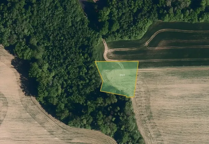 Prodej pole, Černotín, 2262 m2