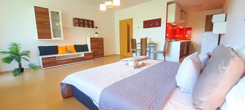 Pronájem bytu 1+kk, Brno, Šemberova, 51 m2