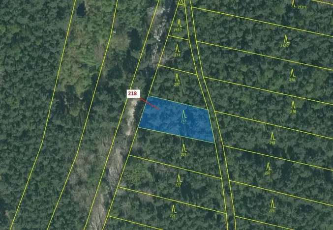 Dražba lesa, Vesce, 682 m2