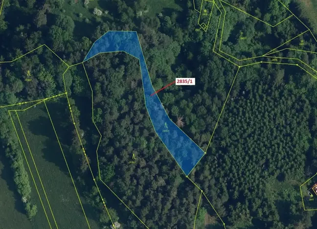 Dražba lesa, Český Dub, 2117 m2