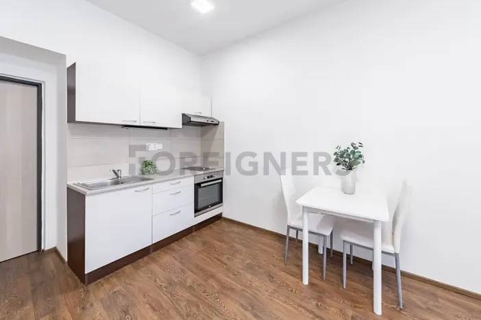 Pronájem bytu 1+kk, Brno, Bratislavská, 25 m2