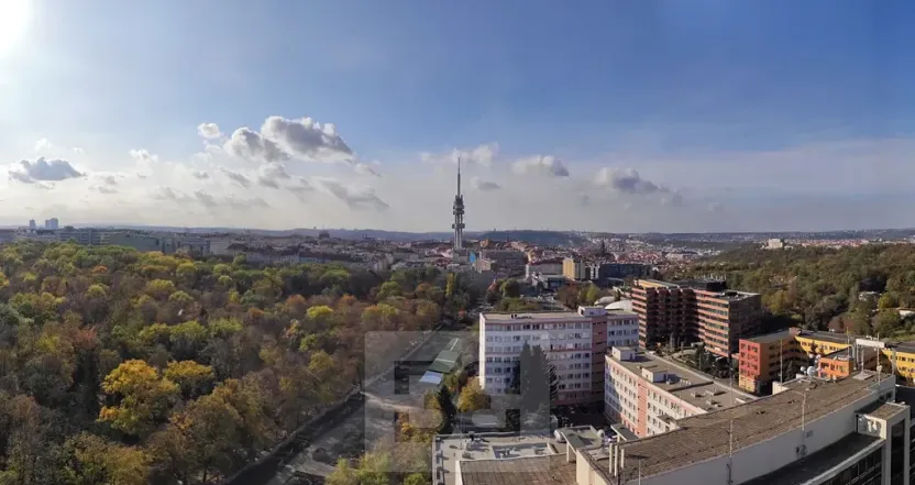 Pronájem bytu 2+kk, Praha - Žižkov, Olšanská, 66 m2