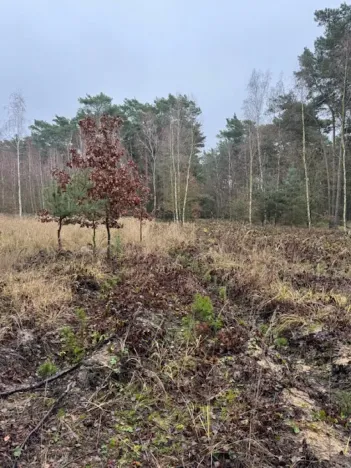 Prodej lesa, Libotenice, 17863 m2