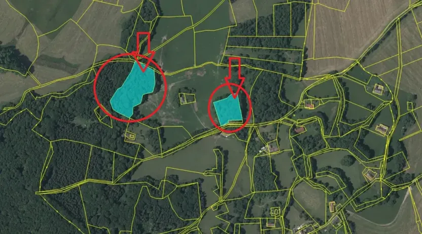 Prodej podílu lesa, Brloh, 5446 m2