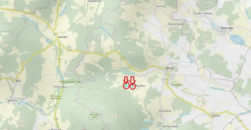 Prodej podílu lesa, Brloh, 5446 m2