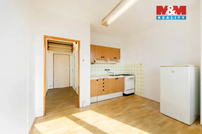 Prodej bytu 1+1, Plzeň - Jižní Předměstí, Čermákova, 43 m2