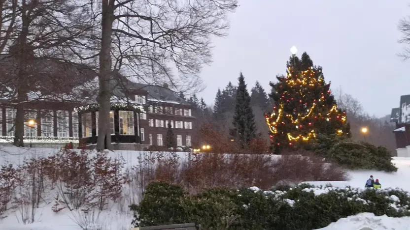 Prodej pozemku pro bydlení, Karlova Studánka, 900 m2