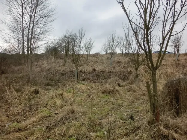 Prodej zahrady, Kunovice, 878 m2