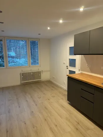 Prodej bytu 2+kk, Praha - Krč, Hurbanova, 41 m2