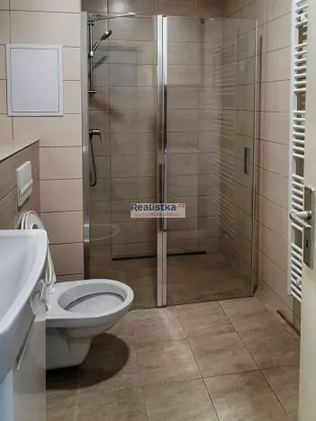 Prodej bytu 1+1, Plzeň, Guldenerova, 48 m2