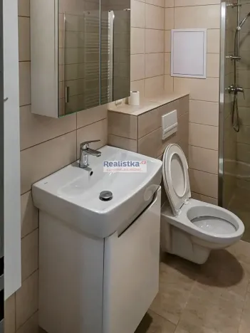 Prodej bytu 1+1, Plzeň, Guldenerova, 48 m2