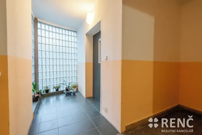 Prodej bytu 3+1, Brno, Krásného, 55 m2