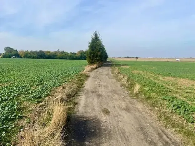 Prodej pole, Praha - Liboc, Na Padesátníku I, 24066 m2