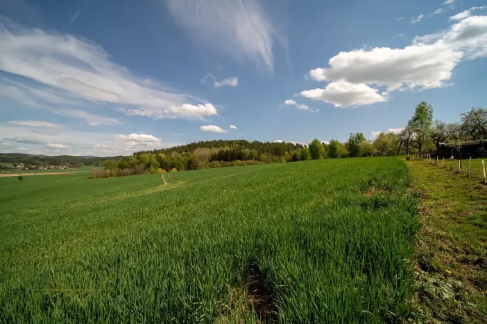 Prodej pozemku, Samšina - Betlem, 1900 m2