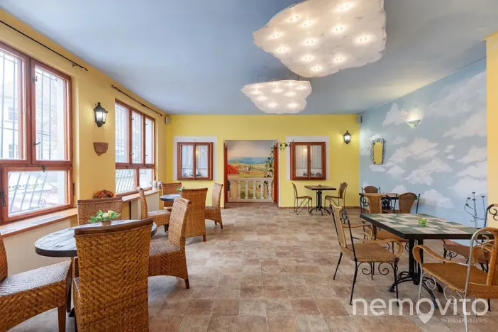 Prodej restaurace, Týnec nad Sázavou, 479 m2