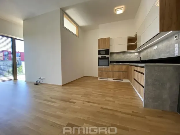 Pronájem bytu 1+kk, Brno, Šumavská, 43 m2