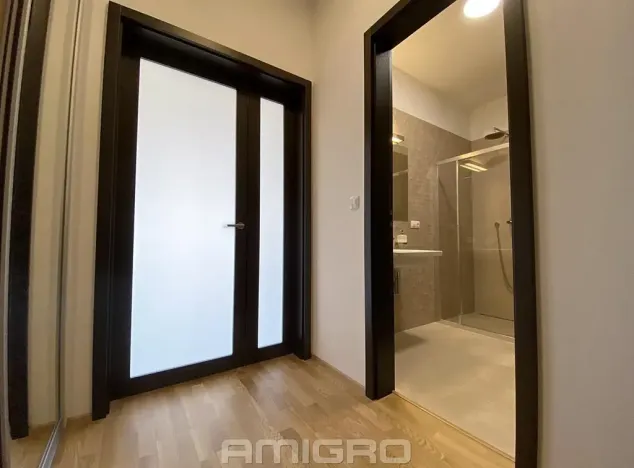 Pronájem bytu 1+kk, Brno, Šumavská, 43 m2