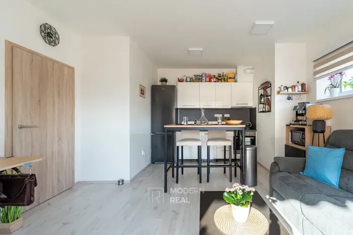 Prodej bytu 2+kk, Brno, Chudčická, 50 m2