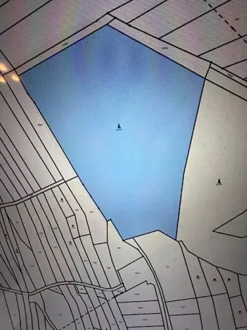 Prodej lesa, Březolupy, 29958 m2