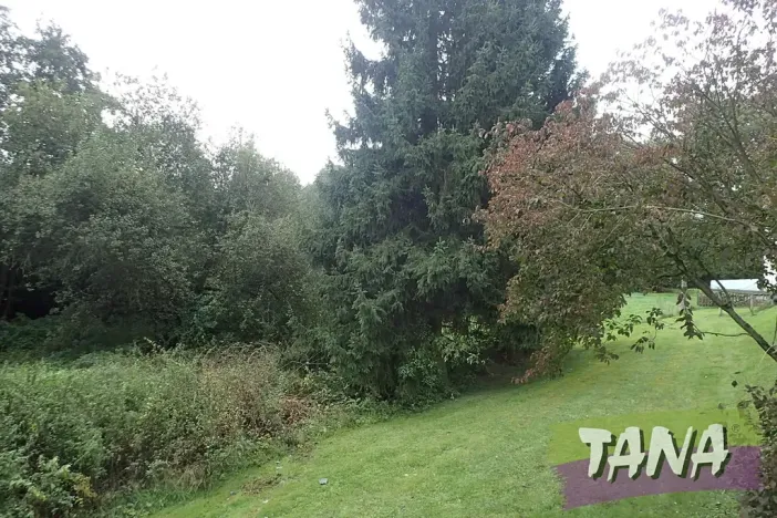 Prodej podílu pozemku pro bydlení, Mladějov, 382 m2