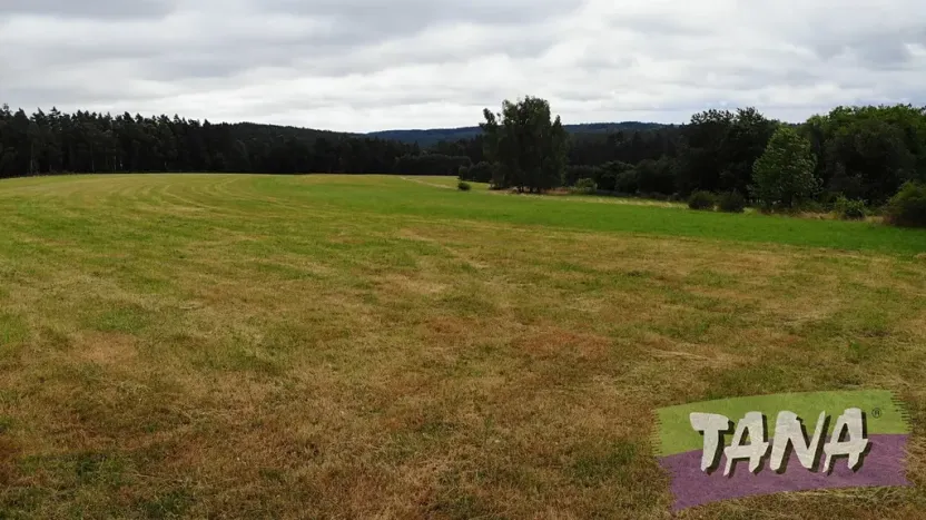 Prodej louky, Hlavice, 24694 m2