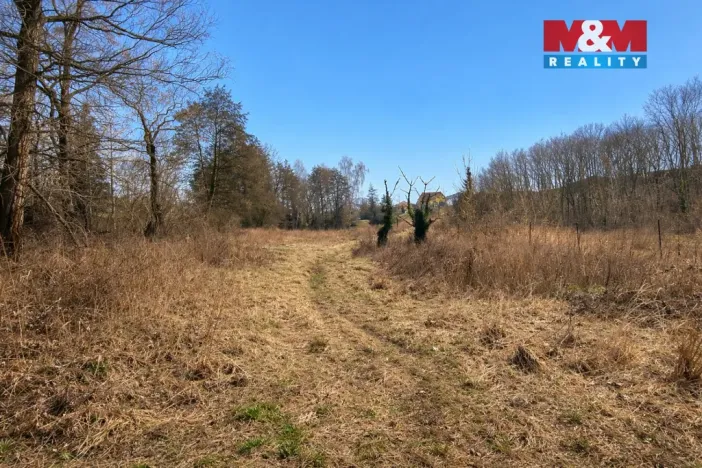 Prodej pozemku pro bydlení, Velemín, 5378 m2