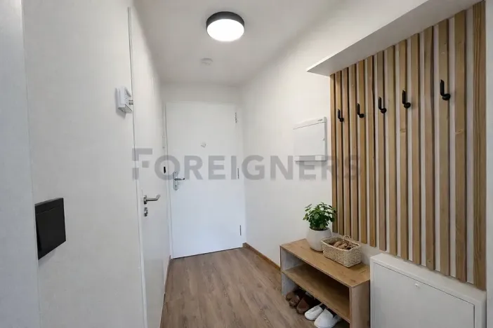 Pronájem bytu 1+kk, Brno, Fryčajova, 30 m2