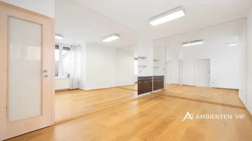 Prodej rodinného domu, Moravany, V Jámách, 382 m2