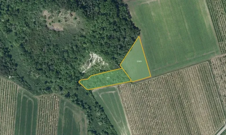 Prodej sadu/vinice, Želkovice, 28919 m2