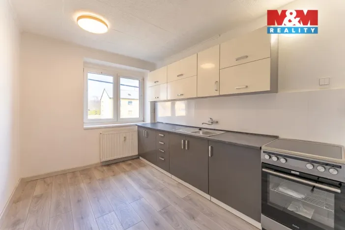 Prodej bytu 2+1, Bor - Vysočany, 63 m2