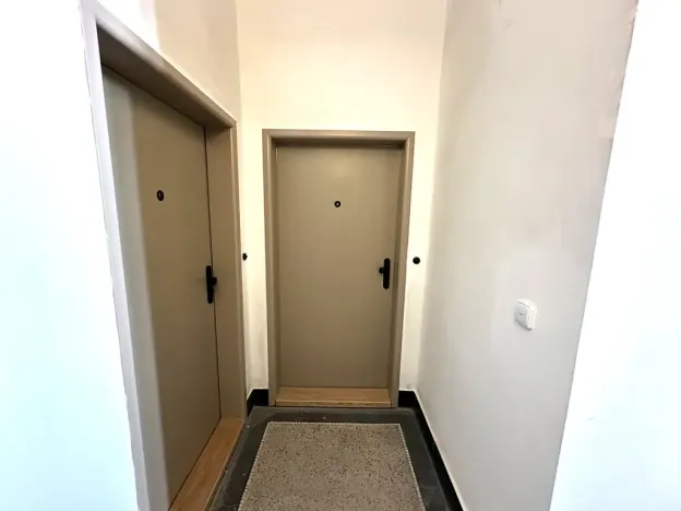 Prodej bytu 2+kk, Praha - Vinohrady, Záhřebská, 46 m2