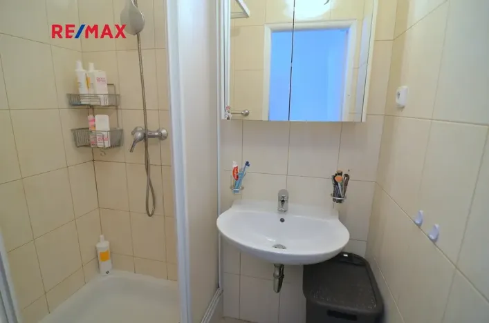 Pronájem bytu 1+kk, Praha - Zbraslav, Tunelářů, 37 m2