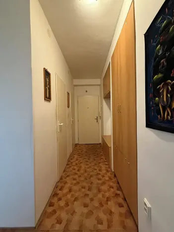 Prodej bytu 2+1, Brno, Kabátníkova, 54 m2