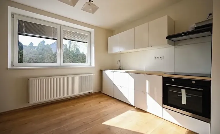 Pronájem bytu 2+1, Bučovice, Rybničná, 57 m2