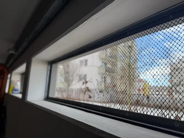 Pronájem ostatní, Brno - Žebětín, Říčanská