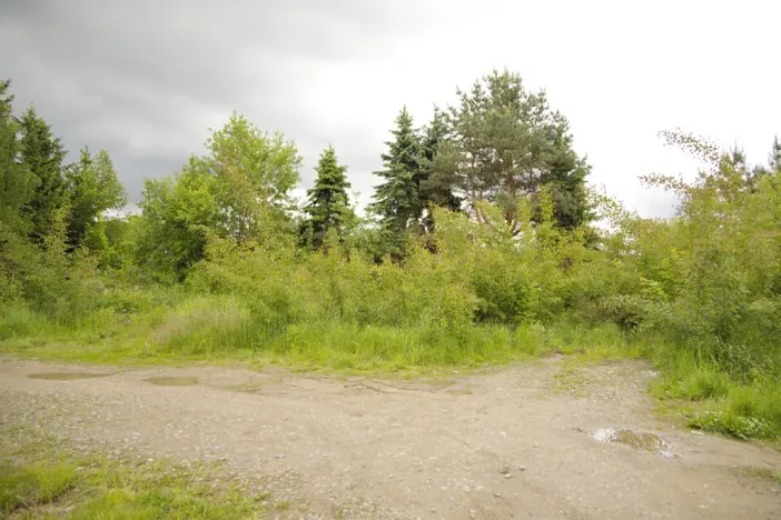 Prodej pozemku pro bydlení, Tábor, Družstevní, 1117 m2