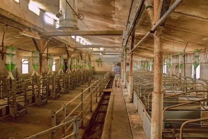 Prodej zemědělského objektu, Třešovice, 1059 m2