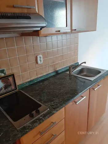 Pronájem bytu 1+kk, Praha - Libeň, Kurta Konráda, 29 m2