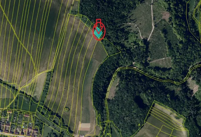 Prodej lesa, Vyškov, 1783 m2