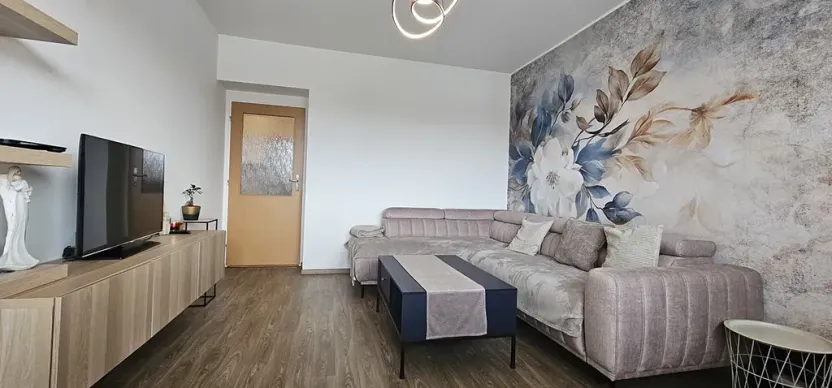 Pronájem bytu 2+1, Letovice, J. Haška, 74 m2