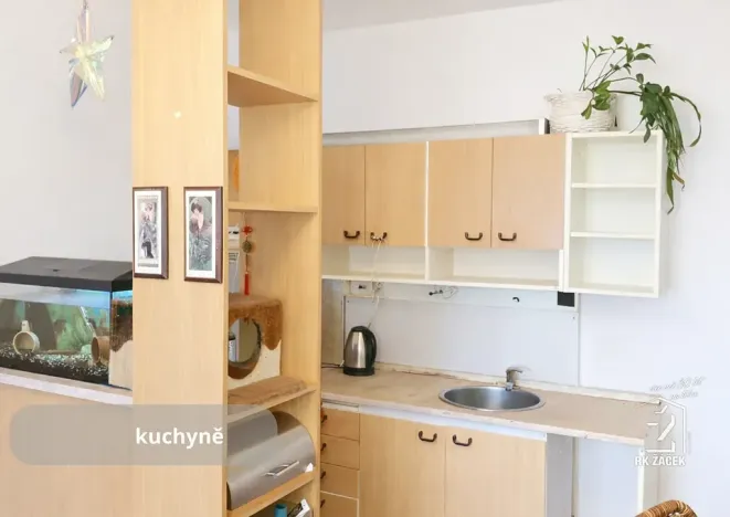 Prodej bytu 2+kk, České Budějovice, J. Bendy, 46 m2