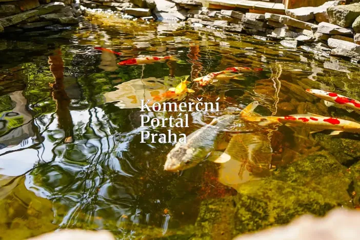 Pronájem restaurace, Praha - Smíchov, Na Václavce, 250 m2