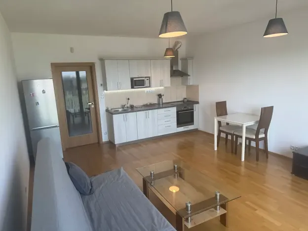 Prodej bytu 1+kk, Praha - Žižkov, Olšanská, 36 m2