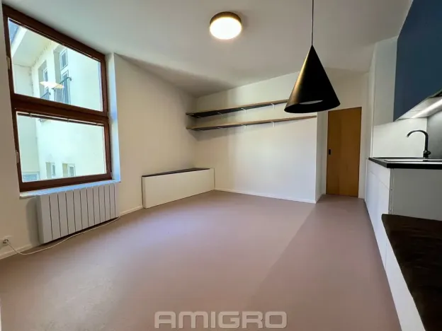 Pronájem bytu 1+kk, Brno, Peroutková, 25 m2